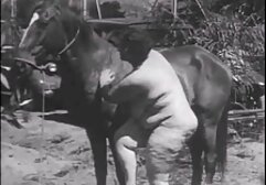 Miután kihúzta a veszélyes arcot,a lány megpróbálta kitalálni, hogy mit kell tennie, és megkérte, hogy tolmácson keresztül kommunikáljon. Kis nő, akinek Melina Davey becenevet kellett választania, azonnal váltson a válaszokra. Amikor Európába jött, pornográfiával kezdett viselkedni, és ezt megelőzően reklámként és reklámként reklámozott valamilyen terméket. Aztán megtörtént a szörnyű Mcdonald ' s, és miután átgondolta, úgy döntött, hogy a pornográfia diverzifikálhatja életét. Ráadásul nem töltött sok időt a